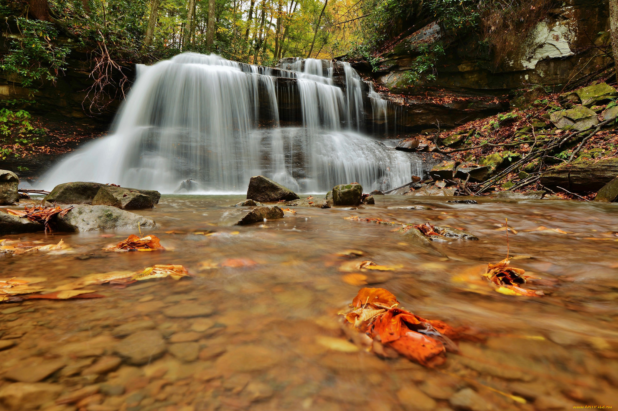 , , leaves, water, stream, waterfall, , , , , , autumn